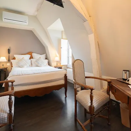 La Couleuvrine Centre Otel 3*