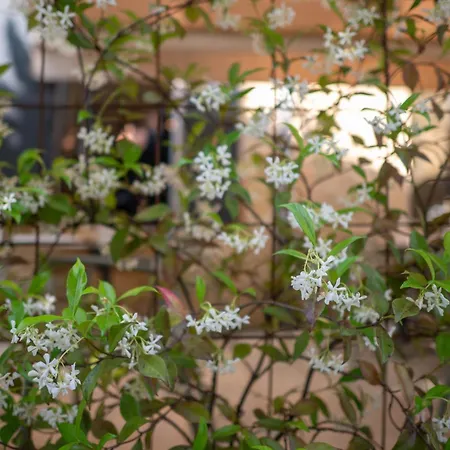 La Couleuvrine Centre Hotel Sarlat