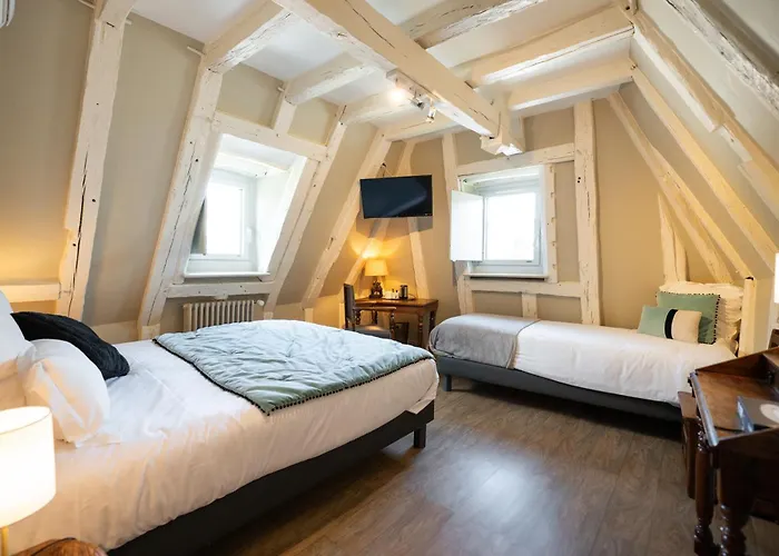 فندق La Couleuvrine Centre 3*