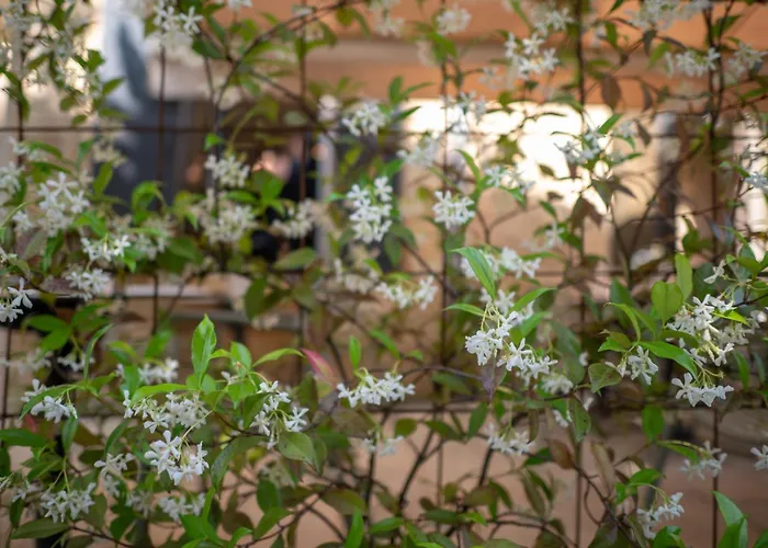 La Couleuvrine Centre فندق سارلا لا كانيدا