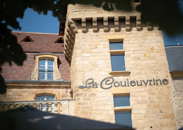 La Couleuvrine Centre سارلا لا كانيدا