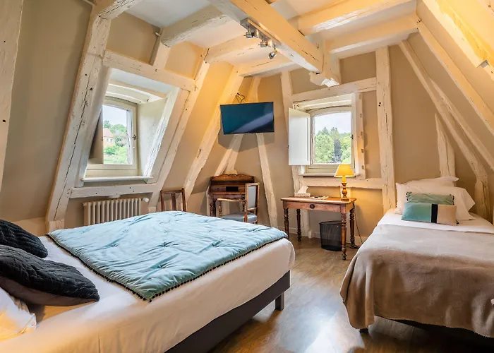 La Couleuvrine Centre فندق